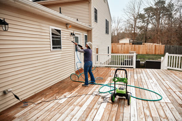Best Roof Pressure Washing  in Dahlone, GA