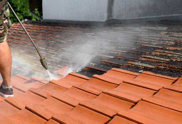 Best Fence Pressure Washing  in Dahlone, GA