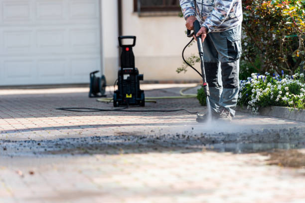 Best Roof Power Washing Services  in Dahlone, GA