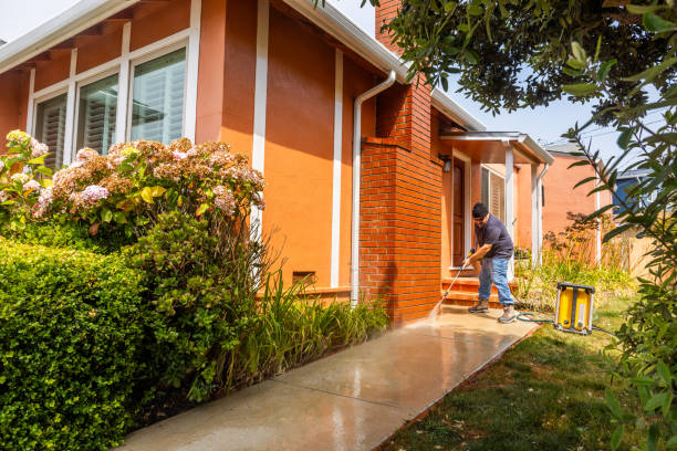 Best House Pressure Washing  in Dahlone, GA