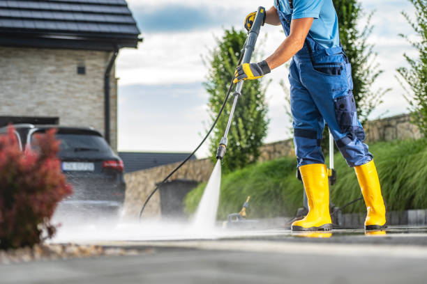 Best House Pressure Washing  in Dahlone, GA