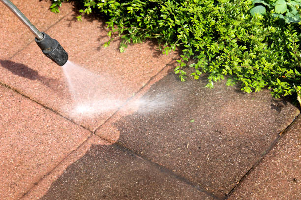 Best Deck Cleaning Services  in Dahlone, GA